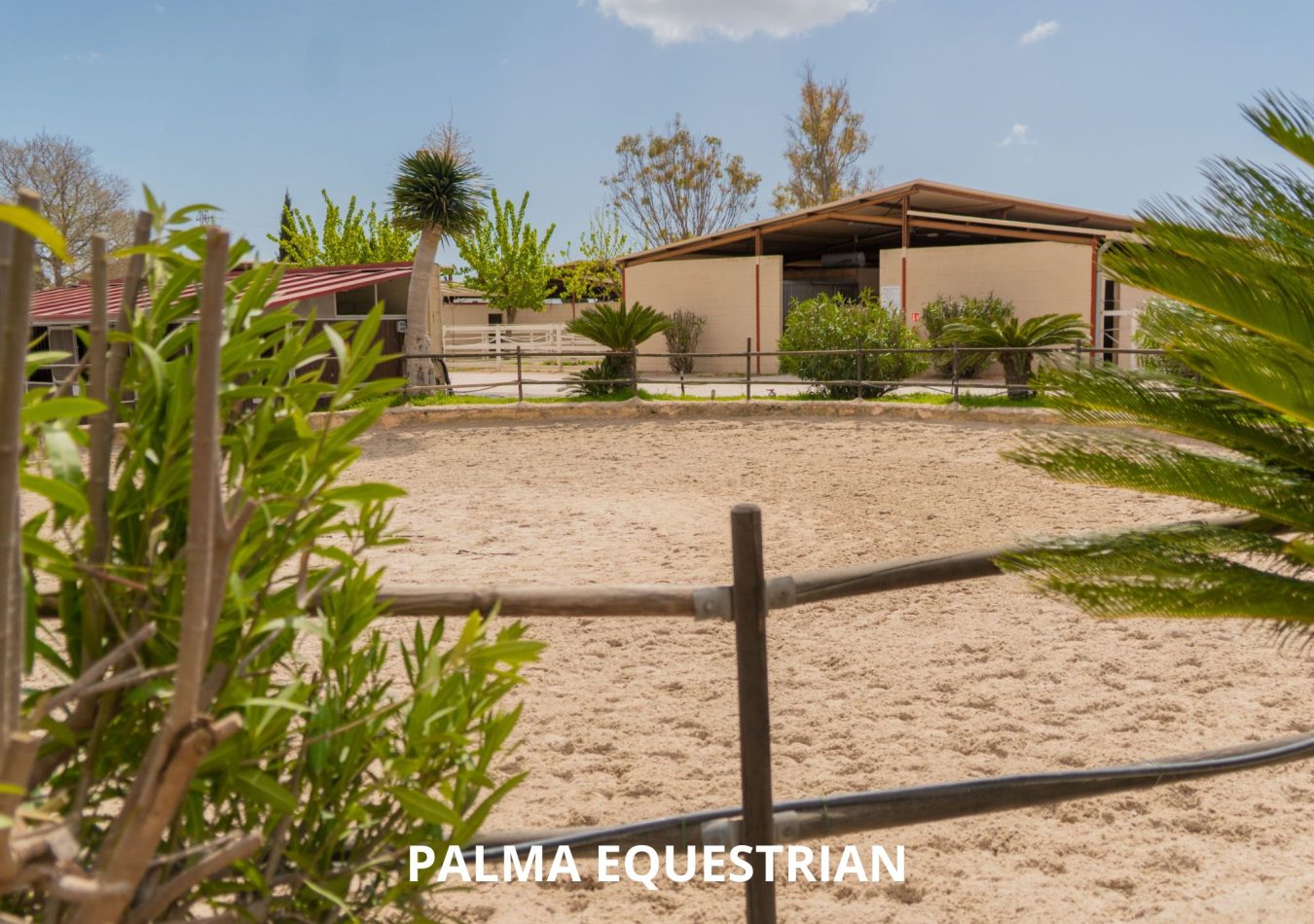 PALMA EQUESTRIAN (1)